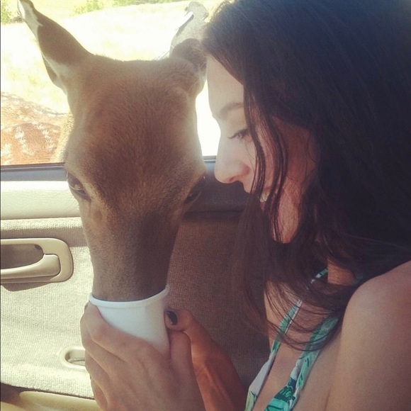 +ALL ABOUT ABBY+ - Picture 3 of 5